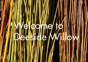 Deeside Willow