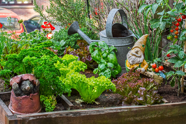 Container planting